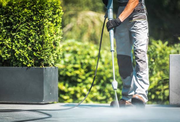 Best Soft Washing for Delicate Surfaces in Lake San Marcos, CA