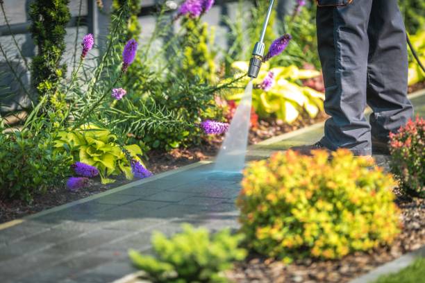Best Concrete Surface Cleaning in Lake San Marcos, CA